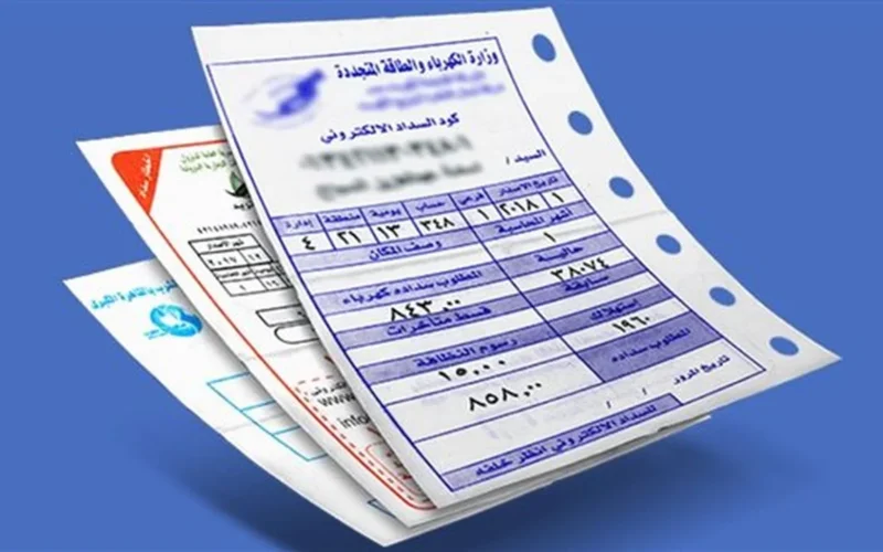 اقتراح نيابي بإضافة 30 جنيهًا على فاتورة الكهرباء لدعم مكافحة الكلاب الضالة